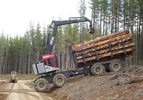 Forwarder-fur-die-forstwirtschaft