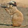 Soldat_tier