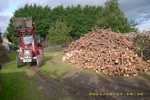 Dsci0956