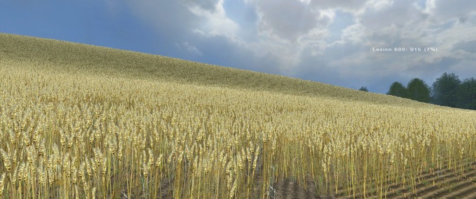 Weizentextur--5