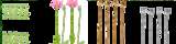 Foliage_diffuse_mohn