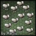 Buymanyanimals
