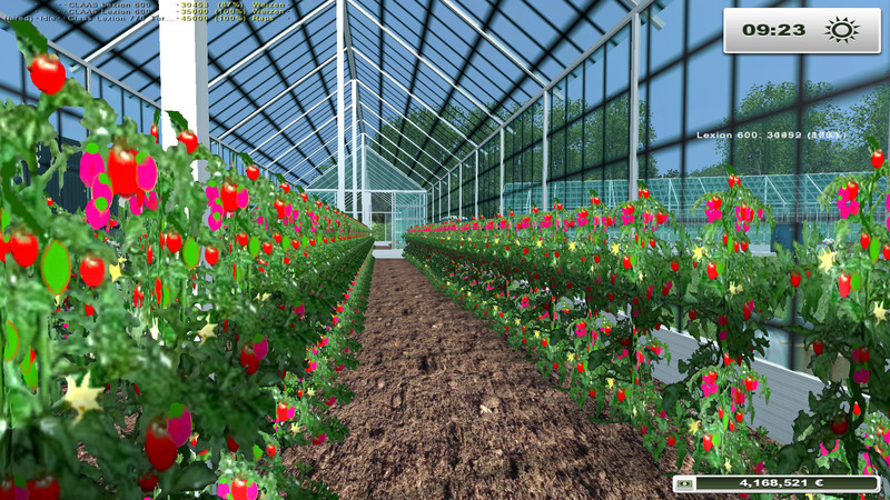 Greenhouse Tomato Production Pdf