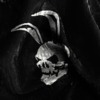 Benutzer-Avatarbild