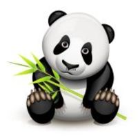 Little Panda