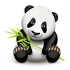 Little Panda avatar