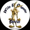 Wile E. Coyote avatar