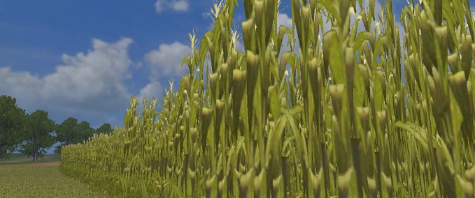 Tutorials höherer und schmalerer Mais Landwirtschafts Simulator mod