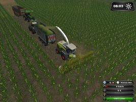 steffen 95