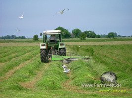 Fendt Farmer 305 LS