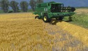 Weizen Skin