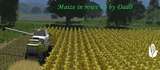 Maize in rows Mod Thumbnail
