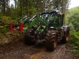 Xylon524