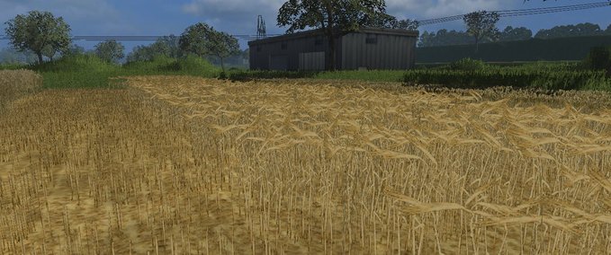 Texturen Barley skin Landwirtschafts Simulator mod