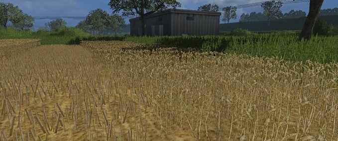 Wheat skin Mod Image