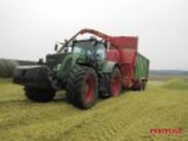 Wester123