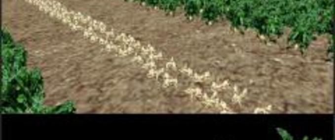 Texturen Zuckerrüben Textur für Karte Landwirtschafts Simulator mod