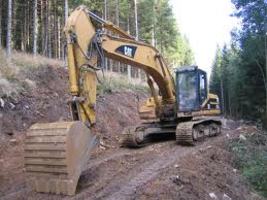 Caterpillar4