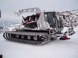 Kiviflo