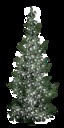 Baum