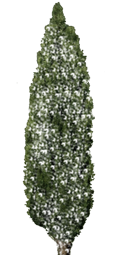 Lowpolybäume - Thumbnail 1