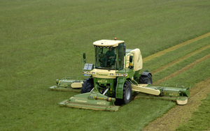 dome88
