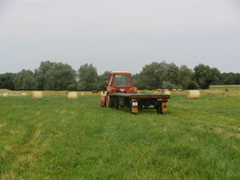 MTZ82
