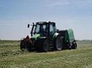 deutz4.85s avatar