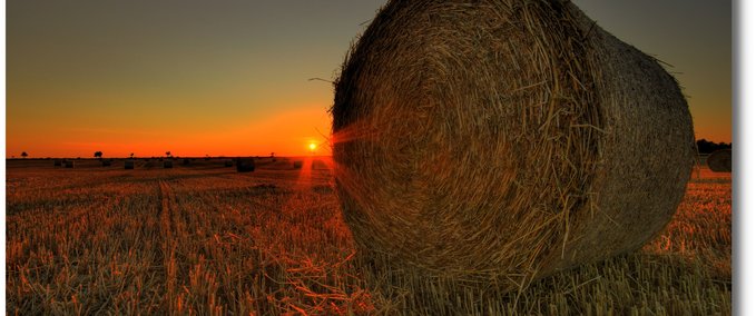 front loader my bale grab Farming Simulator mod