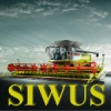 Siwus avatar