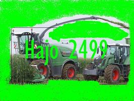Hajo2499