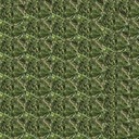 Grass_diffuse