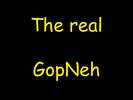 GopNeh avatar