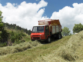 südtiroler jungbauer