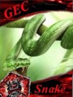 [GEC]Snake