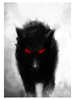 Dark_Wolf avatar
