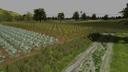 Polska-wies-v8-by-mario