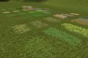 Zahlencode-fuer-den-giants-editor-501