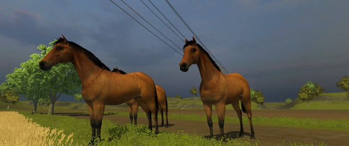 Platzierbare Objekte Pferd im Shop erhältlich  Landwirtschafts Simulator mod
