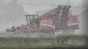 Morning-fog--4