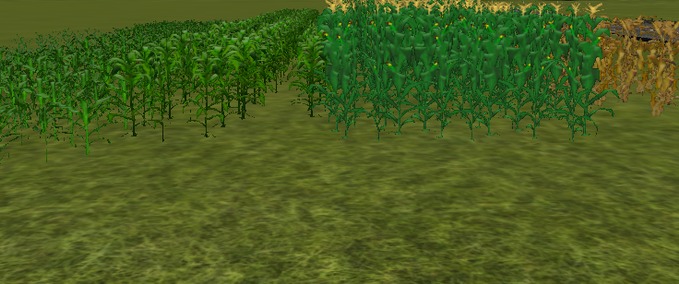 Texturen Mais Textur Landwirtschafts Simulator mod