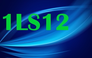 1LS12
