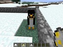 Pinguin