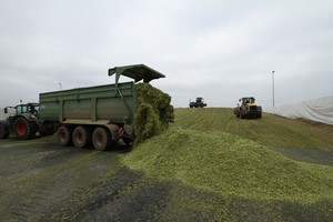 axion11