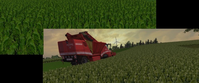 Texturen Ruebentexturen Landwirtschafts Simulator mod