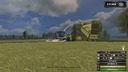 Gruengerste-fuer-gps--2
