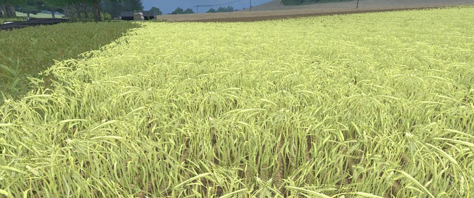 Texturen Grüngerste für GPS Landwirtschafts Simulator mod