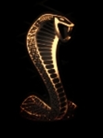 GoldenViper
