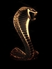 GoldenViper avatar