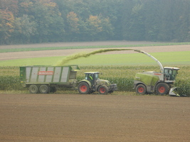 MalteF